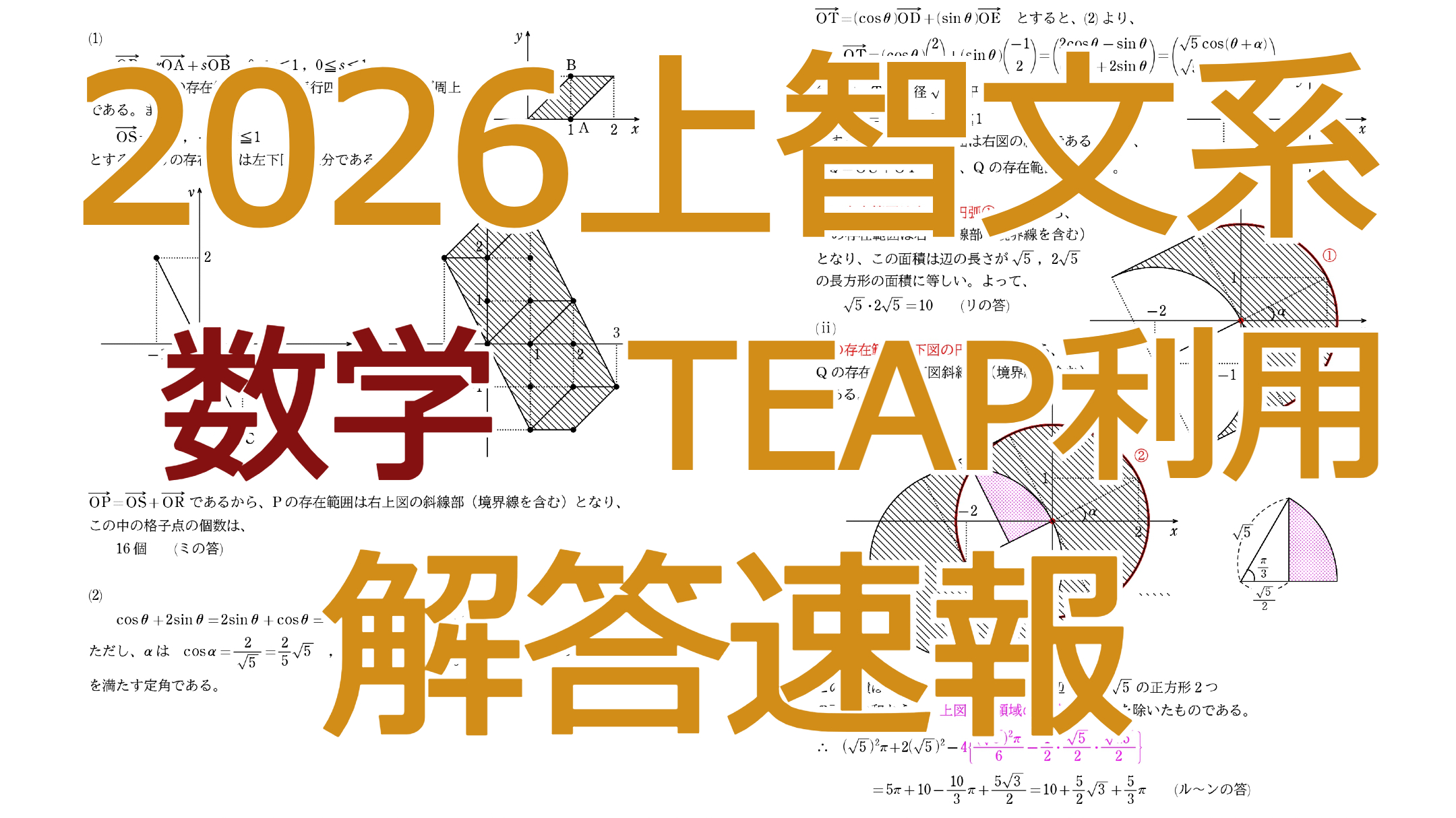 2026上智文系【数学TEAP利用】解説・解答・講評